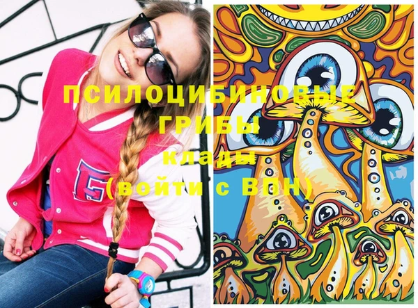 молекула духа Зеленодольск