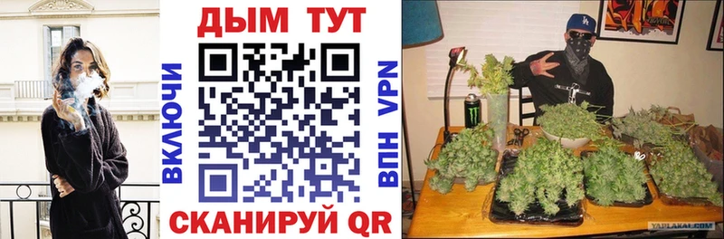 Купить где  Богучар  МАРИХУАНА семена 